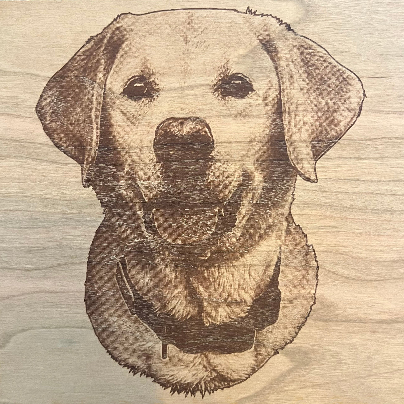 Custom Pet Portraits on Wood Circles
