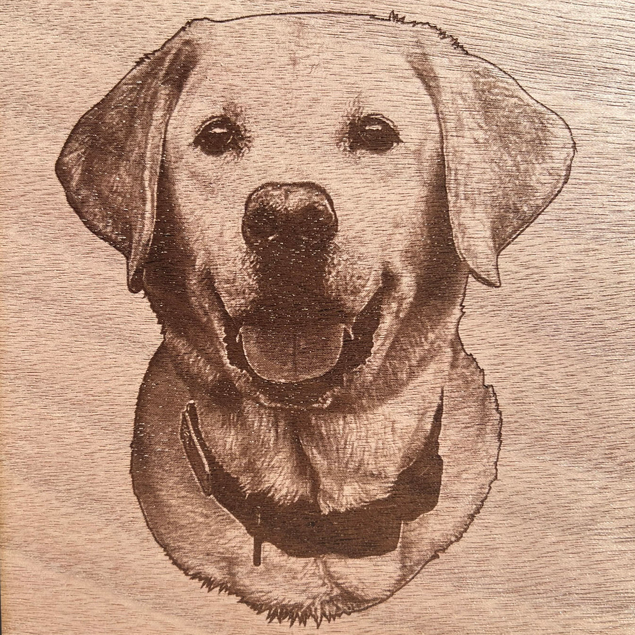 Custom Pet Portraits on Wood Circles