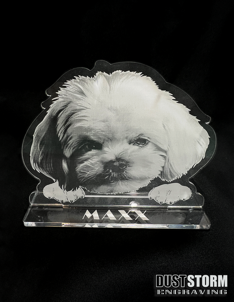 Personalized Pet Portrait in Minimalist Clear Acrylic