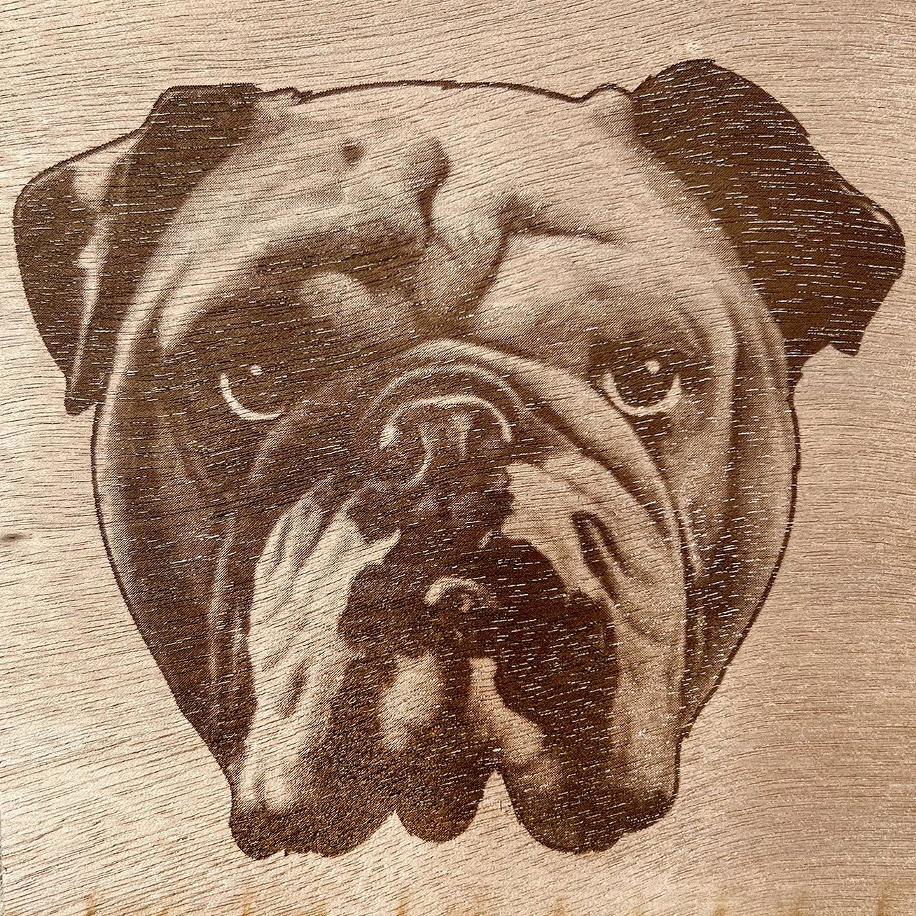 Custom Pet Portraits on Wood Circles
