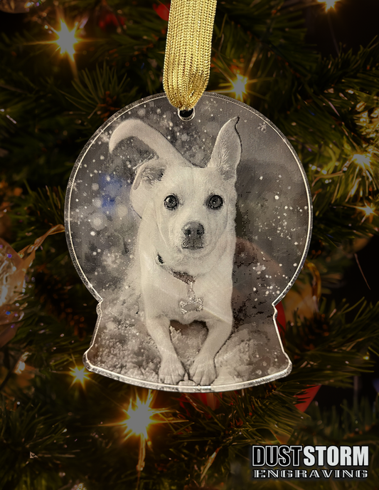 Pet Portrait Snow Globe Shape Personalized Ornament in Minimalist Clear Acrylic