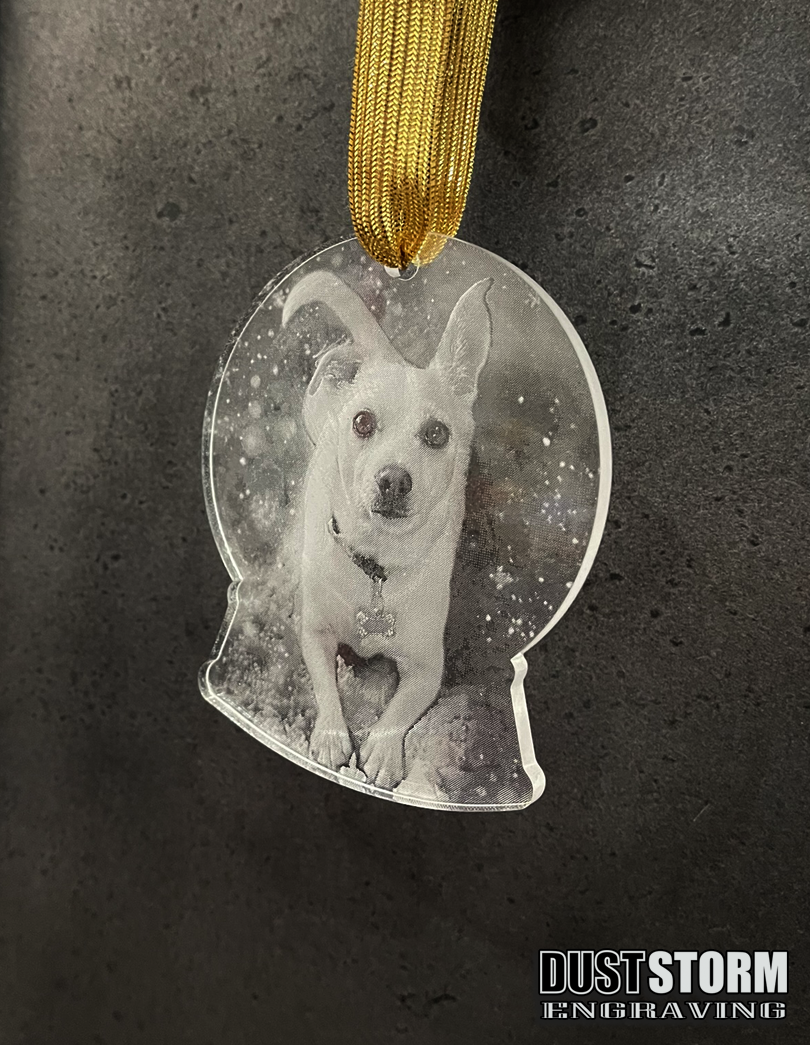 Pet Portrait Snow Globe Shape Personalized Ornament in Minimalist Clear Acrylic
