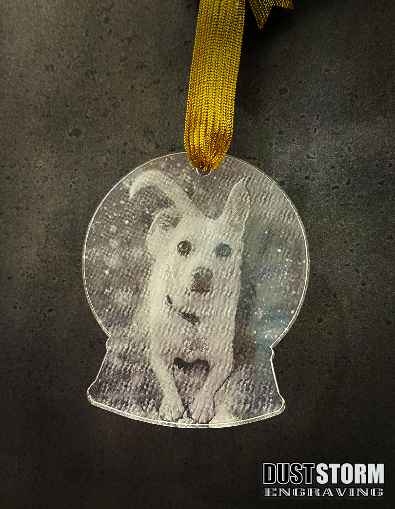 Pet Portrait Snow Globe Shape Personalized Ornament in Minimalist Clear Acrylic