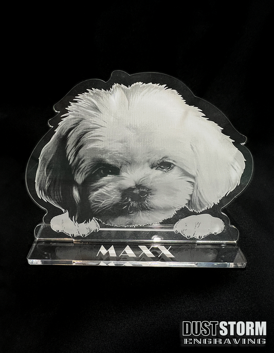 Personalized Pet Portrait in Minimalist Clear Acrylic