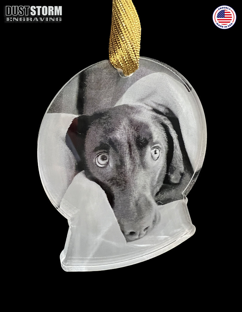 Pet Portrait Snow Globe Shape Personalized Ornament in Minimalist Clear Acrylic